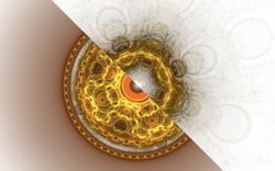 2015 03 08 Endless Night 035-white.jpg